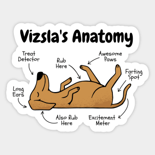 Vizsla's Anatomy Funny Hungarian Vizsla Sticker